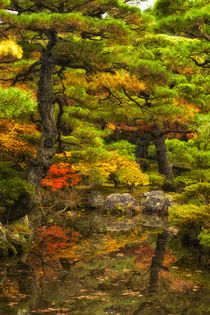 Kyoto, Japan, Fall colors and reflection in water by Danita Delimont