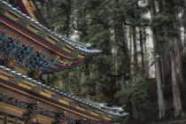 Decorative Japanese Temple roof against background of trees by Danita Delimont