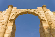 South Gate, Jerash, Jordan by Danita Delimont