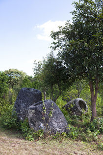The Phonsavan Plain of Jars in Laos von Danita Delimont