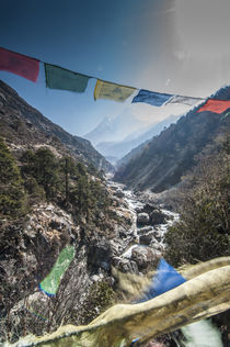 Prayer flags from bridge with Mt by Danita Delimont