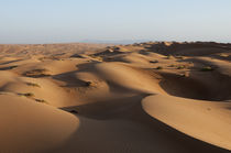 Wahiba Sands desert, Oman von Danita Delimont