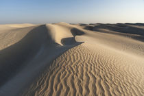 Khaluf desert, Oman. von Danita Delimont
