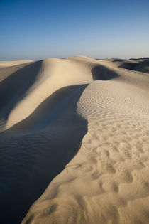 Khaluf desert, Oman. von Danita Delimont