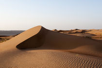 Wahiba Sands desert, Oman by Danita Delimont