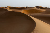 Wahiba Sands desert, Oman. by Danita Delimont