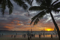 Beach with palm trees at sunset, Boracay Island, Aklan Provi... by Danita Delimont