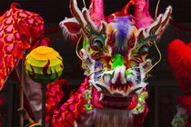 Dragon dance celebrating Chinese New Year in China Town, Man... von Danita Delimont
