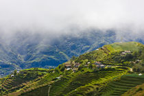 The Rice Terraces of the Philippine Cordilleras, UNESCO Worl... von Danita Delimont