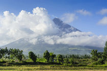 Mount Mayon Volcano, Legazpi, Southern Luzon, Philippines by Danita Delimont