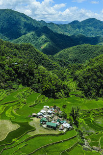Bangaan in the rice terraces of Banaue, Northern Luzon, Philippines by Danita Delimont
