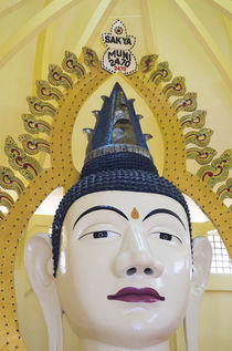 Singapore, Little India, Buddha Gaya Temple, very large Buddha statue von Danita Delimont