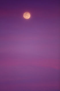 A full moon sunset on Ko Samui, Thailand. by Danita Delimont