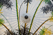 Painted parasol, Bo Sang, nr Chaing Mai, Thailand von Danita Delimont