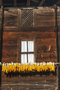 Corn hung to dry outside of wooden house, Rize, Black Sea re... von Danita Delimont