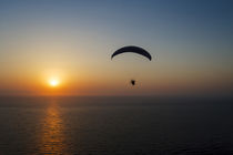 Paramotor flying at sunset, Aegean Sea, western Turkey by Danita Delimont