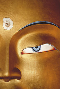 Close-up of Statue, Thiksay Gompa by Danita Delimont