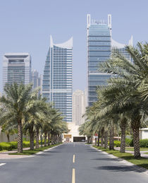 Palm tree lined street in The Springs with modern skyscraper... von Danita Delimont