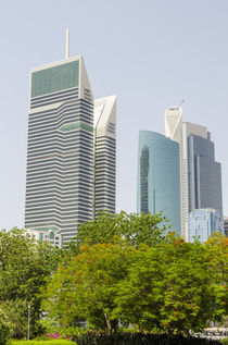 Small park and downtown skyline of Dubai, United Arab Emirates. by Danita Delimont
