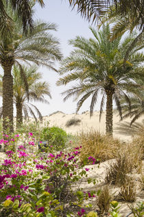 Bab Al Shams Desert Resort and Spa by Danita Delimont
