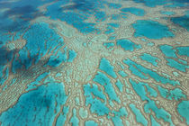 Great Barrier Reef, Queensland, Australia von Danita Delimont