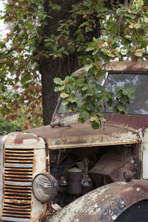 Southwest Australia, Boyup Brook, old truck by Danita Delimont