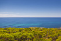 Southwest Australia, Cape Naturaliste, landscape, defocussed by Danita Delimont