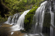 Purakaunui Falls, Catlins, South Otago, South Island, New Zealand von Danita Delimont