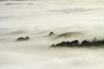 Fog over Otago Harbour and Otago Peninsula, Dunedin, South I... by Danita Delimont