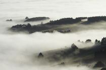 Fog over Otago Harbour and Otago Peninsula, Dunedin, South I... by Danita Delimont