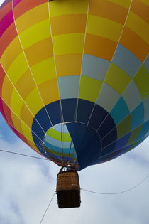 Hot air balloon, Balloons over Waikato Festival, Lake Rotoro... von Danita Delimont