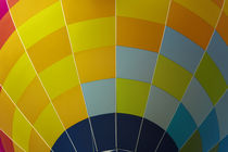Hot air balloon, Balloons over Waikato Festival, Lake Rotoro... by Danita Delimont
