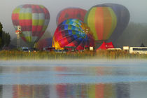 Hot air balloons, Balloons over Waikato Festival, Lake Rotor... by Danita Delimont