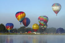 Hot air balloons, Balloons over Waikato Festival, Lake Rotor... by Danita Delimont