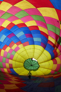 Inside a hot air balloon, Balloons over Waikato Festival, La... by Danita Delimont