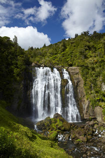 Marokopa Falls, Waitomo District, Waikato, North Island, New Zealand von Danita Delimont