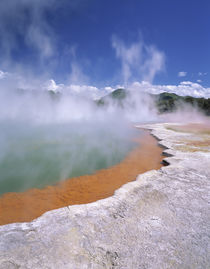 Wai-O-Tapu Thermal Area, steam rising from Champagne Pool, N... von Danita Delimont