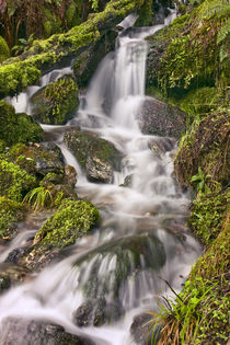 New Zealand, Asia, Glenorchy Small Falls von Danita Delimont