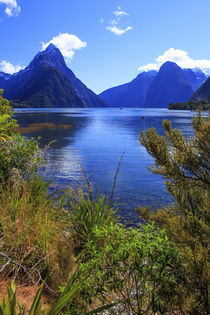 Looking across the waters of Milford Sound towards Mitre Pea... by Danita Delimont