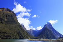Milford Sound on the South Island of New Zealand is famous f... by Danita Delimont