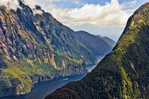 New Zealand, South Island, Fiordland National Park, Milford Sound by Danita Delimont
