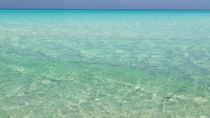 Bahamas, Exuma Island by Danita Delimont