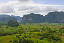 Limestone hill and farming land in Vinales valley, UNESCO Wo... by Danita Delimont