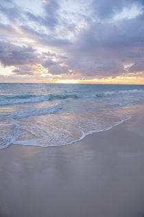 Dominican Republic, Punta Cana, Higuey, Bavaro, Bavaro Beach, sunrise by Danita Delimont