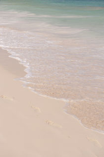 Dominican Republic, Punta Cana, Higuey, Bavaro, Bavaro Beach von Danita Delimont
