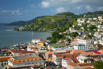 View over Saint Georges, Grenada, West Indies by Danita Delimont
