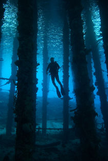 Silhouette of scuba diver under pier by Danita Delimont