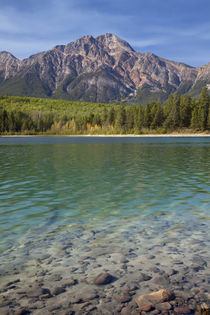 Canada, Alberta, Jasper National Park von Danita Delimont