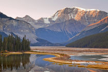 Canada, Alberta, Jasper National Park by Danita Delimont