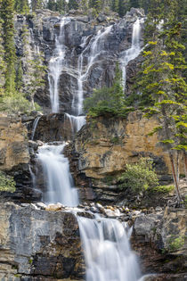 Canada, Alberta, Jasper National Park, Tangle Falls von Danita Delimont